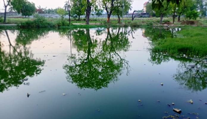ओवरफ्लो पोखर के गंदे पानी से दयानतपुर के लोग परेशान, जल निकासी और सफाई व्यवस्था की मांग