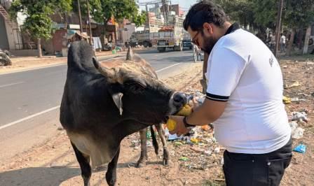 गंगा दशहरा पर शहर के विभिन्न क्षेत्रों में विशेष गौसेवा अभियान चलाया गया