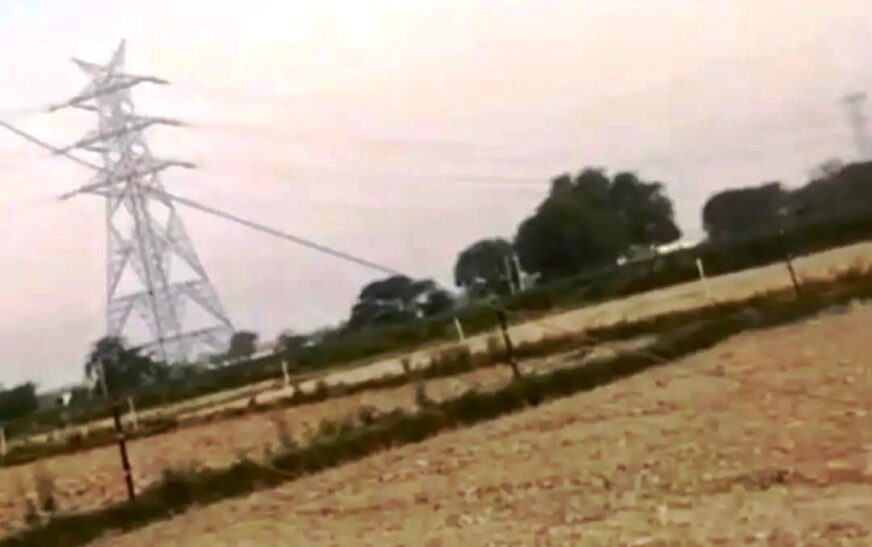 सादाबाद : अचानक टूटकर गिरी 11 केवी विद्युत लाइन  करंट से जानवर की मौत, लाइन ऊंची कराने के निर्देश