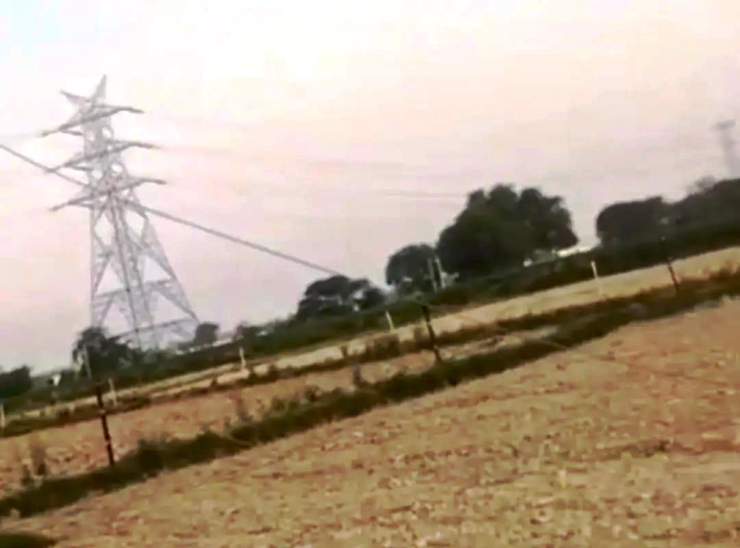सादाबाद : अचानक टूटकर गिरी 11 केवी विद्युत लाइन  करंट से जानवर की मौत, लाइन ऊंची कराने के निर्देश