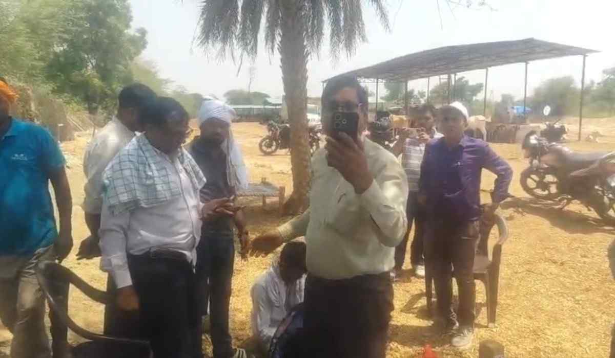 हसायन : गौशाला में डिप्टी सीवीओ ने गौरक्षकों को ‘सांड’ कहने वाले बयान पर भड़के गौरक्षकों ने दिया धरना,अधिकारी पर अभद्रता का आरोप