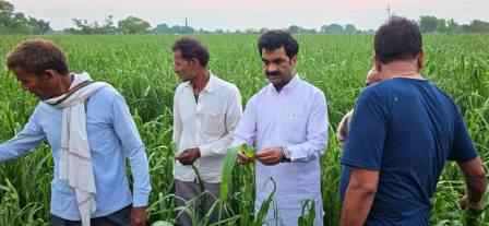 कई गांवों में ओलावृष्टि का कहर, मुआवजे की मांग