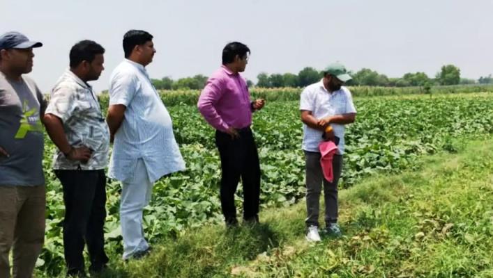 सादाबाद : किसान नेता ने किया बर्बाद फसल का निरीक्षण, किसानों को दिया हर संभव सहायता दिलाए जाने का आश्वासन