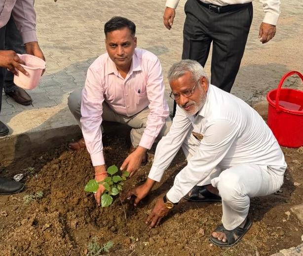 हाथरस में विश्व पर्यावरण दिवस पर सीएमओ एवं भाजपा जिलाध्यक्ष ने किया पौधारोपण