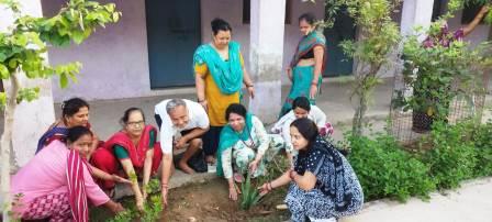 जायंट्स ग्रुप ऑफ गूँज ने मिलकर किया पौधारोपण