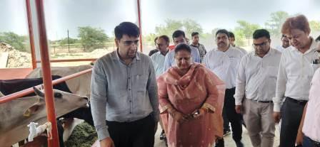 मंडलायुक्त ने श्री दाऊजी गौशाला का किया निरीक्षण, पौधरोपण कर दिया पर्यावरण संरक्षण का संदेश