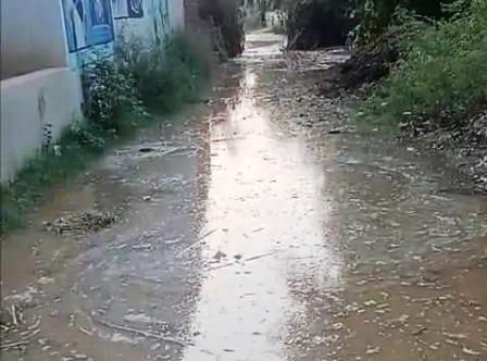 सादाबाद : रजवाहे की पटरी कटी, गांव में भरा पानी, मुख्य मार्ग सहित कई घरों में पानी घुसा, कड़ी मशक्कत दुरुस्त हुई पटरी