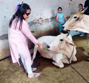 जेसीआई हाथरस रेनबो ने गौशाला में की गौसेवा, गायों को खिलाया चारा और हरी सब्जियां