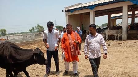 गौ सेवा आयोग सदस्य दीपक गोयल ने गौशालाओं का किया निरीक्षण, व्यवस्थाओं में सुधार के दिए निर्देश