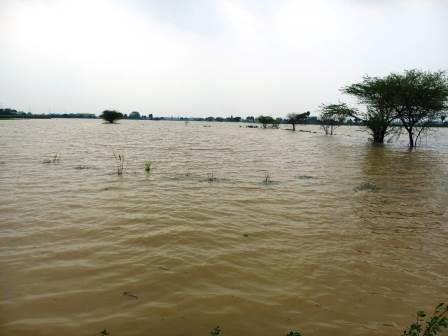 हसायन : ईशन नदी के जलस्तर बढते ही खेतों में पानी भरने से ग्रामीण किसान हुए परेशान