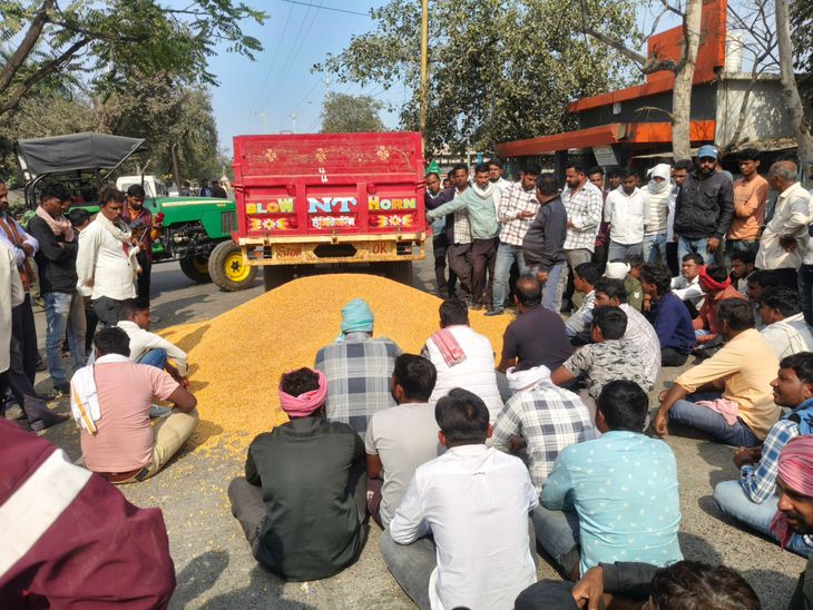 मक्का खरीद लक्ष्य पूरा, अब किसानों को हो रहा हजारों का नुकसान, खरीद केंद्र बंद होने से औने-पौने दाम पर बेचने की मजबूरी, एमएसपी से 350 से 800 रुपये कम पर बिक रहा मक्का