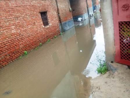 दयानतपुर की ओवरफ्लो पोखर बनी परेशानी का सबब, वार्ड 11 के लोगों ने नगर पालिका से लगाई स्थायी समाधान की गुहार