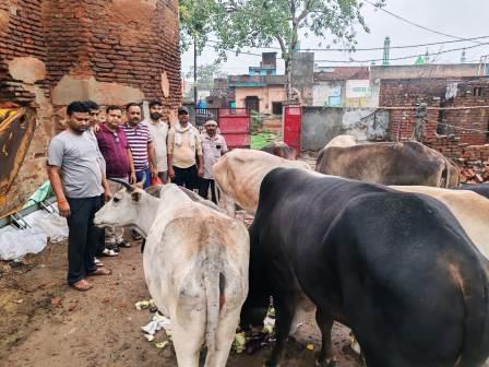 पुरदिलनगर : सेवा ही संगठन का मूल मंत्र, बजरंग दल ने गौशाला में चलाया स्वच्छता एवं गौसेवा अभियान