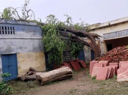 सादाबाद : इंटर कॉलेज में टूटकर गिरा पेड़, कक्ष क्षतिग्रस्त, हादसा टला, कक्ष में मौजूद नहीं था कोई भी छात्र छात्रा