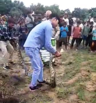 खेत में दिखा 12 फीट लंबा अजगर, ग्रामीणों में मचा हड़कंप; वन विभाग ने किया रेस्क्यू