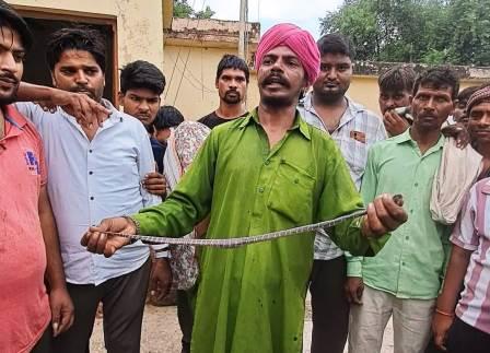 सादाबाद : मंडी में निकला सर्प, किसानों में हड़कंप, सपेरे ने पकड़ा जहरीला सर्प, मंडी समिति में काफी देर रही भय की स्थिति