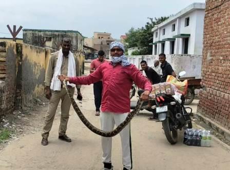 सादाबाद : नलकूप कक्ष में निकला अजगर, हड़कंप, जटोई गांव का मामला, अजगर पकड़ने पहुंची वन विभाग की टीम