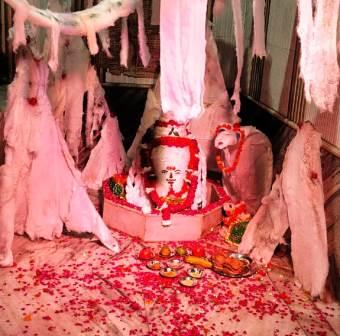 प्राचीन श्री शिव मंदिर पर शिव भक्तों को प्रसाद वितरण, बड़ी संख्या में पहुंचे श्रद्धालु