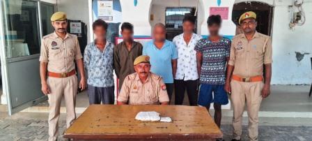 हसायन : हार जीत की बाजी लगाकर जुआ खेल रहे, पांच जुआरी गिरफ्तार जुआरियो से बरामद किए ग्यारह सौ रूपए नकद व ताश की गड्डी