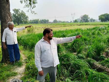 हसायन : धान की लहलहाती फसल को नामजदों ने ट्रैक्टर से रौंदकर किया नष्ट,पीडित किसान की तहरीर पर चारों नामजदों के खिलाफ रिपोर्ट दर्ज