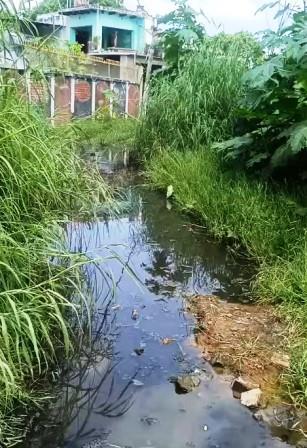 हसायन : मनौरा में जलभराव से ग्रामीण परेशान, तहसील दिवस में शिकायत के बाद भी नहीं हुआ समाधान, मुख्य मार्ग पर जमा रहता है गंदा पानी, राहगीरों और ग्रामीणों को आवागमन में हो रही परेशानी