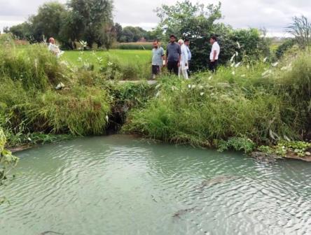 सादाबाद : रजवाह की पटरी कटी, फसल जलमग्न, क्षेत्र के गांव गढ़ी रत्ती के पास करीब 20 बीघा फसल को नुकसान