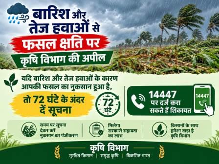 बारिश और तेज हवाओं से फसल क्षति पर कृषि विभाग की अपील, फसल नुकसान हुआ है तो 72 घंटे के अंदर दें सूचना, 14447 पर दर्ज करा सकते हैं शिकायत