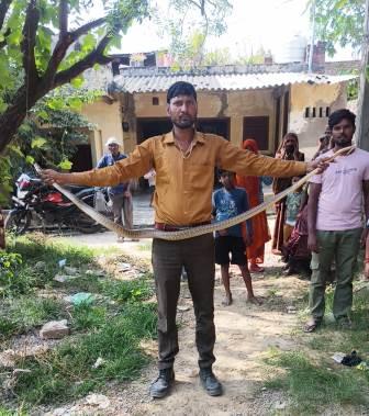 सहपऊ : घर में निकला आठ फुट लंबा सांप, परिवार में मचा हड़कंप; सर्प मित्र ने सुरक्षित पकड़ा