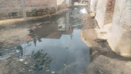 खुशालगढ़ गांव में महीनों से जलभराव, ग्रामीण परेशान; गंदगी और बीमारियों का खतरा, हसायन क्षेत्र के गांव में पानी निकासी की व्यवस्था न होने से बढ़ी मुश्किलें, ग्रामीणों ने प्रशासन से स्थायी समाधान की उठाई मांग