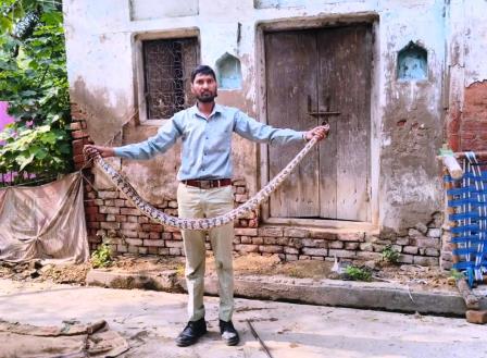 सादाबाद : पशुपालक के घर में निकला अजगर, सेदरिया गांव की घटना, सर्प मित्र ने जाकर पकड़ा