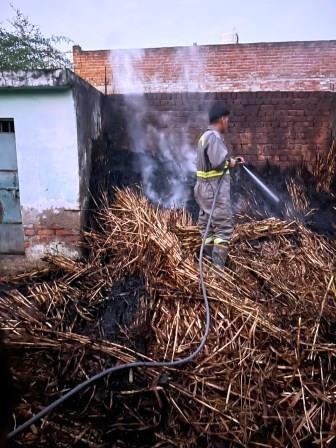 सहपऊ : किसान की 10 बीघा करब जलकर राख, करीब दो लाख रुपये का नुकसान, मढ़ा पिथू गांव में अज्ञात कारणों से लगी आग, ग्रामीणों और दमकल की टीम ने पाया काबू; पशु बाल-बाल बचे