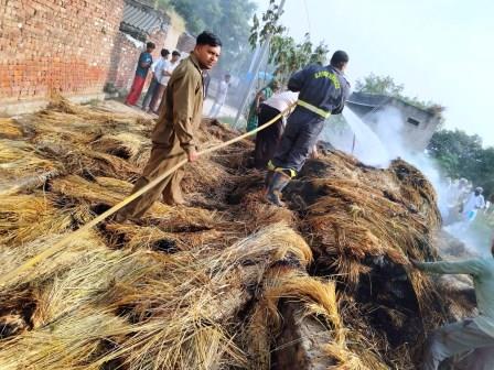 सासनी : जिरौली गांव में किसान के खेत पर रखी पुआल में लगी आग, दमकल ने पाया काबू