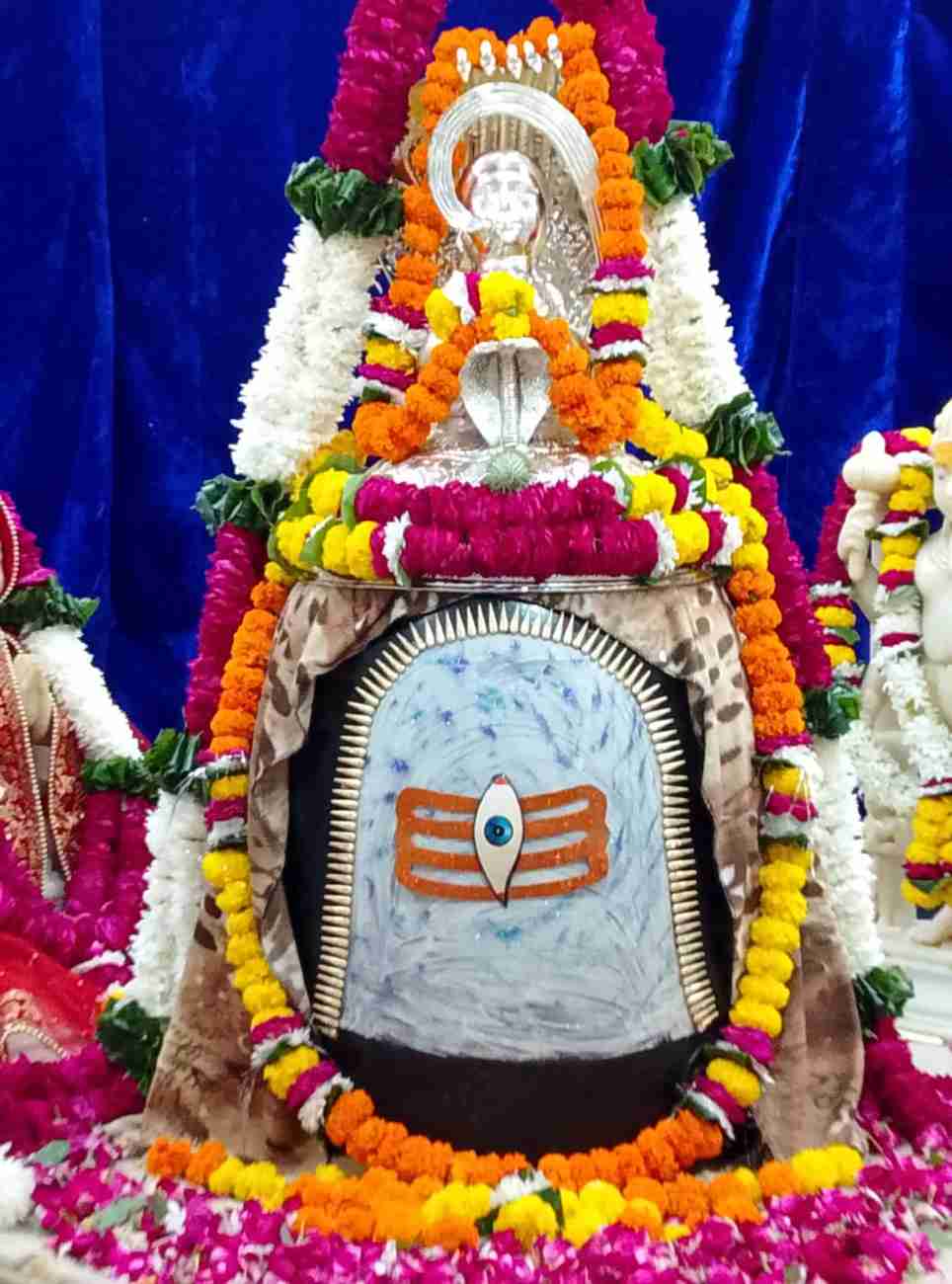 सोमवार (12/10/26) दर्शन श्री गोपेश्वर महादेव, बगला मार्ग सासनी गेट हाथरस
