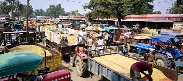 हाथरस मंडी में धान की भारी आवक से फिर लगा जाम, अब रात 10 बजे से सुबह 8 बजे तक ही गेट नंबर एक से मिलेगी वाहनों को एंट्री